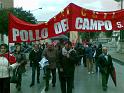 Sciopero 14 Novembre Forlì (10)